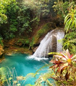 Review About Riu Palace Jamaica | Wah Deh Gwaan